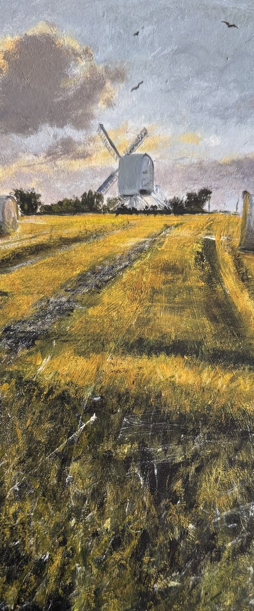 Post Windmill cornfield by Teresa Tanner