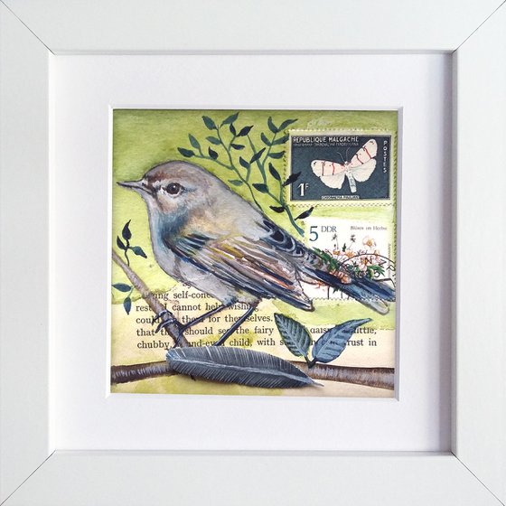 The Chiffchaff feather  (framed and ready to hang)