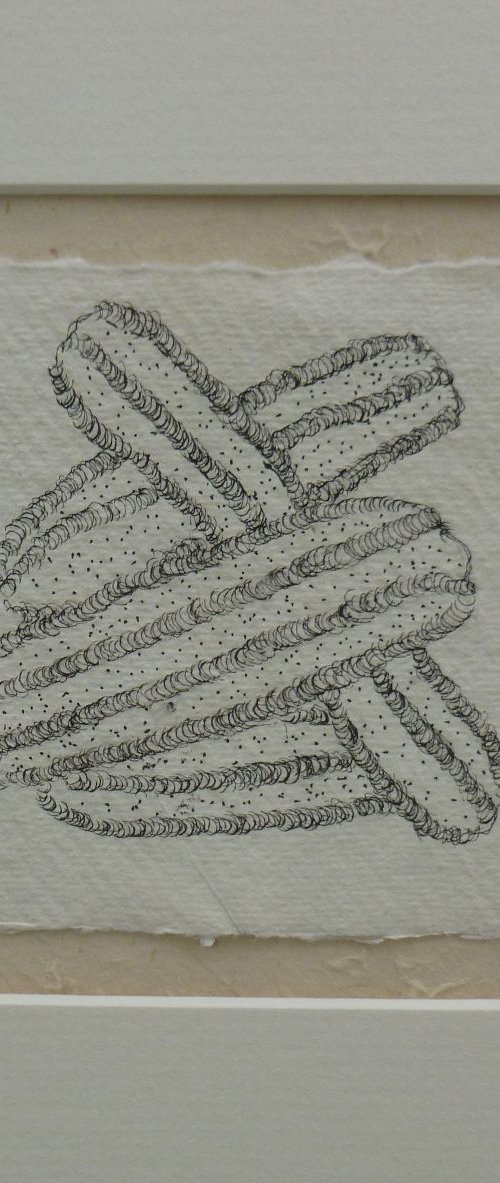 Structures From Nature 5 by Fiona Philipps