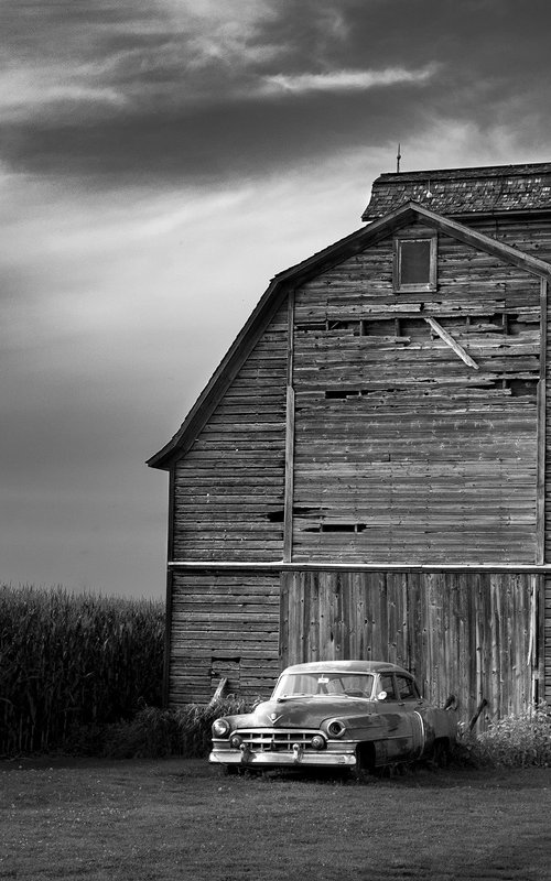 In a Realm All It's Own by Robert Tolchin