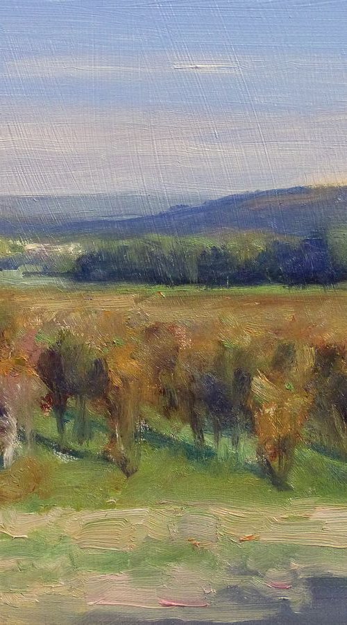 Vineyards near Roussillon by Pascal Giroud