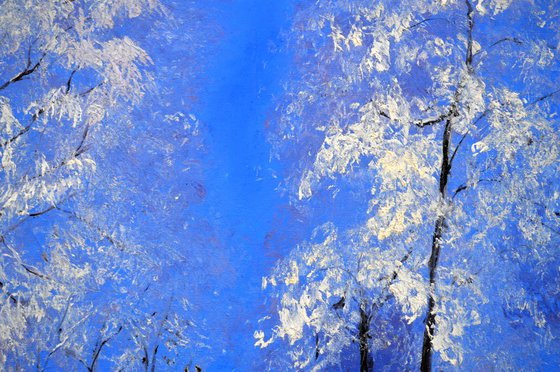 Heritage Series: Winter Dream — Pure Light