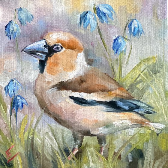 Bird painting, grosbeak with snowdrops. Original on small canvas, gift painting. Brown bird, blue flowers, nature. Made with love