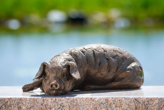 Lying Piglet BR