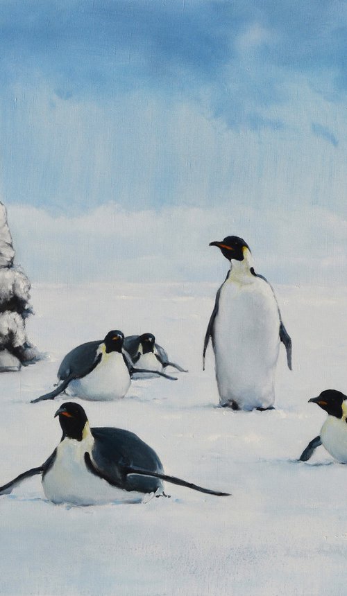 Penguins and Man by Oleg Kateryniuk