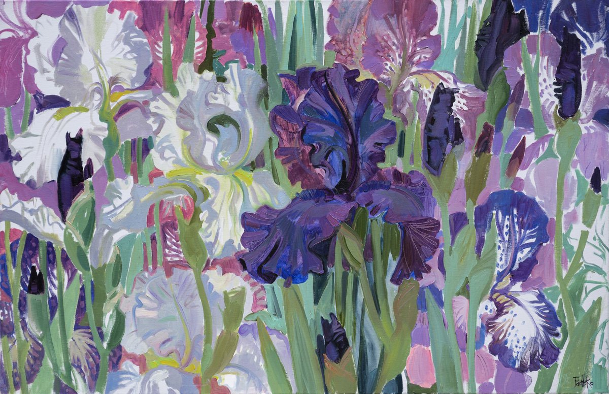 Irises. White. Blue. Lilac by Liudmyla Korzh-Radko
