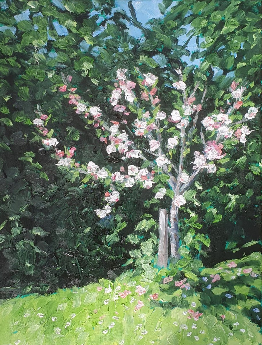 blossom 17 by Colin Ross Jack