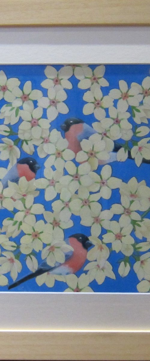 Plum Blossom and Bullfinches by Sophie Colmer-Stocker
