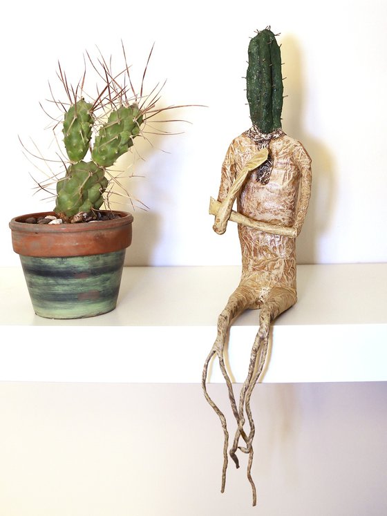 MR.CACTUS