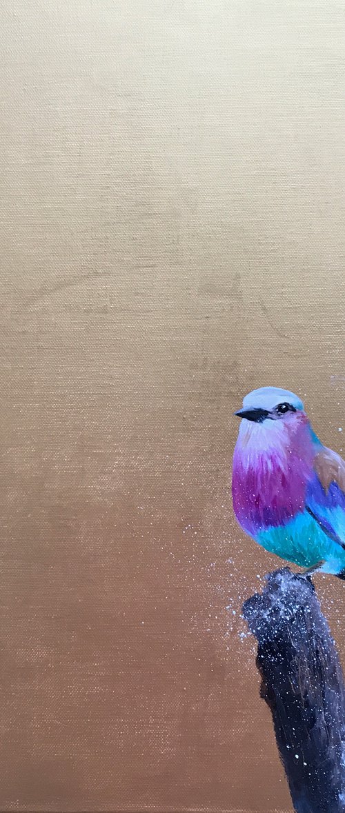 Lilac Breasted Roller by Laure Bury