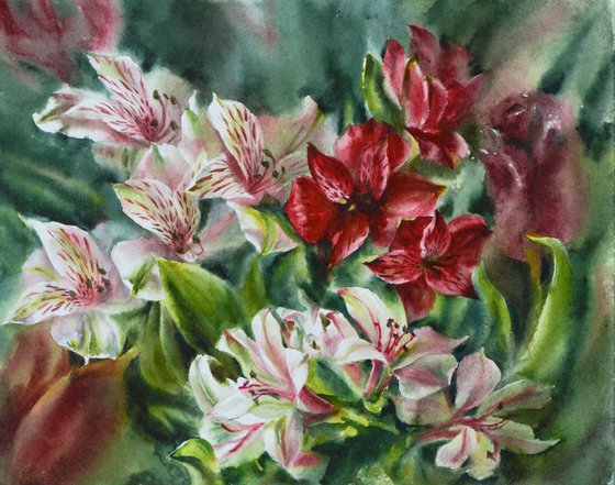 Alstroemeria Bouquet