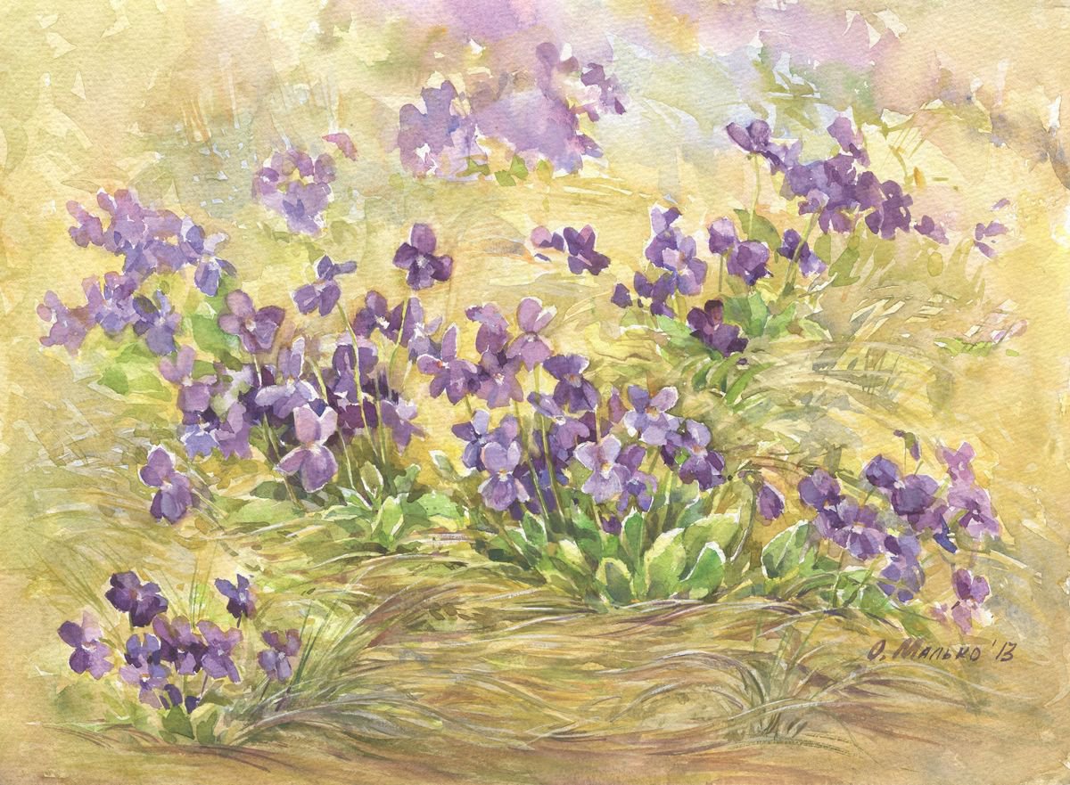 Violets. Violet meadow / Spring flower Floral watercolor by Olha Malko