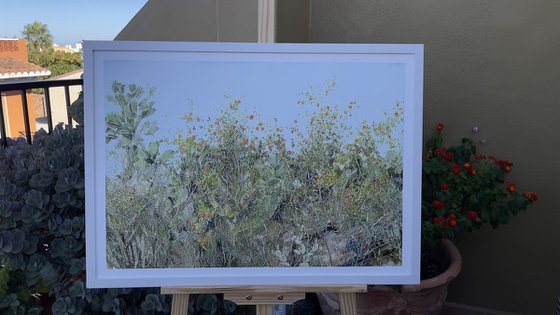 An Abandoned Spanish Orange Orcha