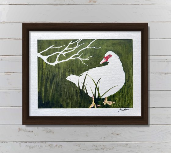 White duck