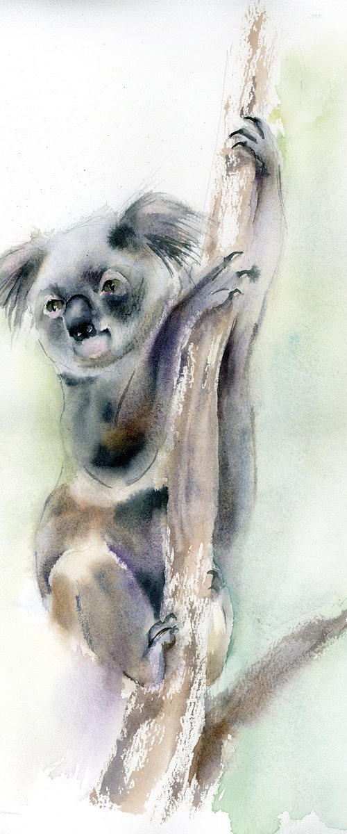 Koala Climber by Olga Tchefranov (Shefranov)