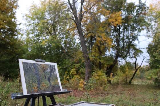 Chestnut tree in autumn. Tsaritsyno