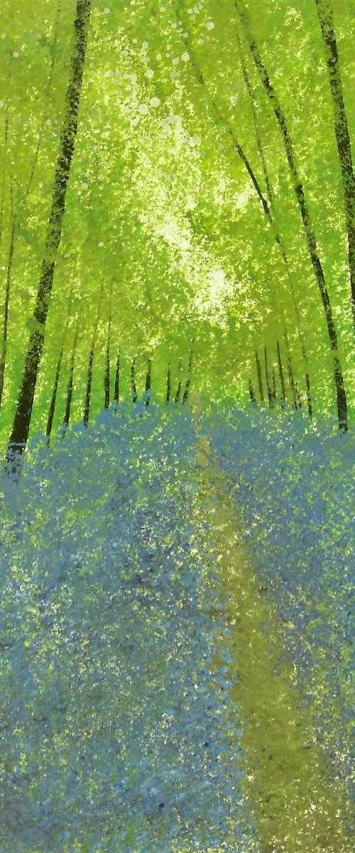 Bluebell Woods 6 by Jan Rippingham