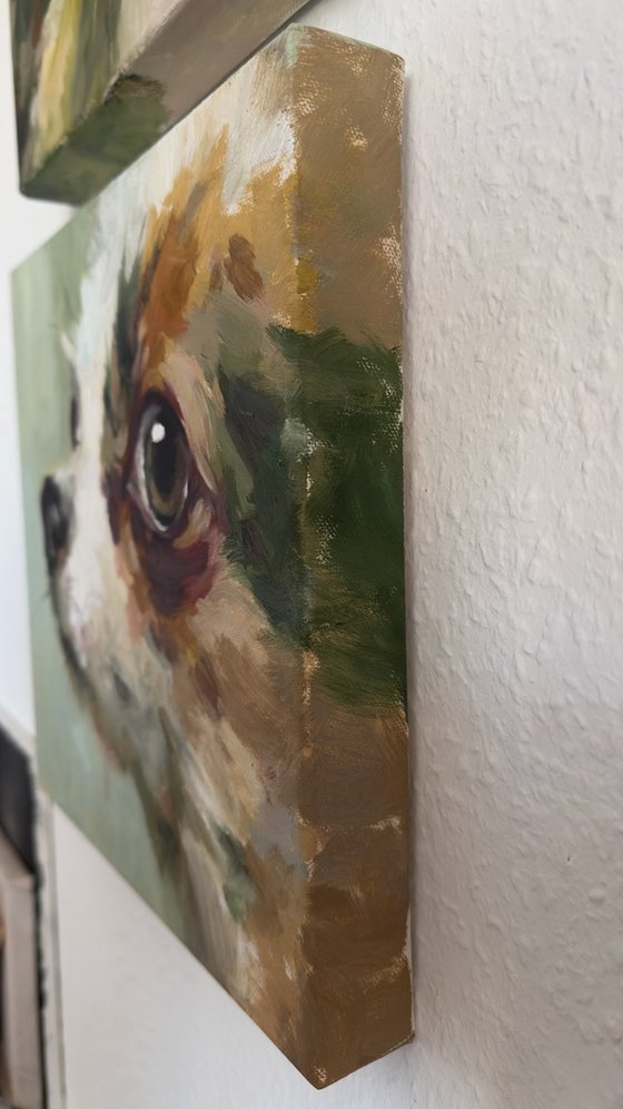 Green dog