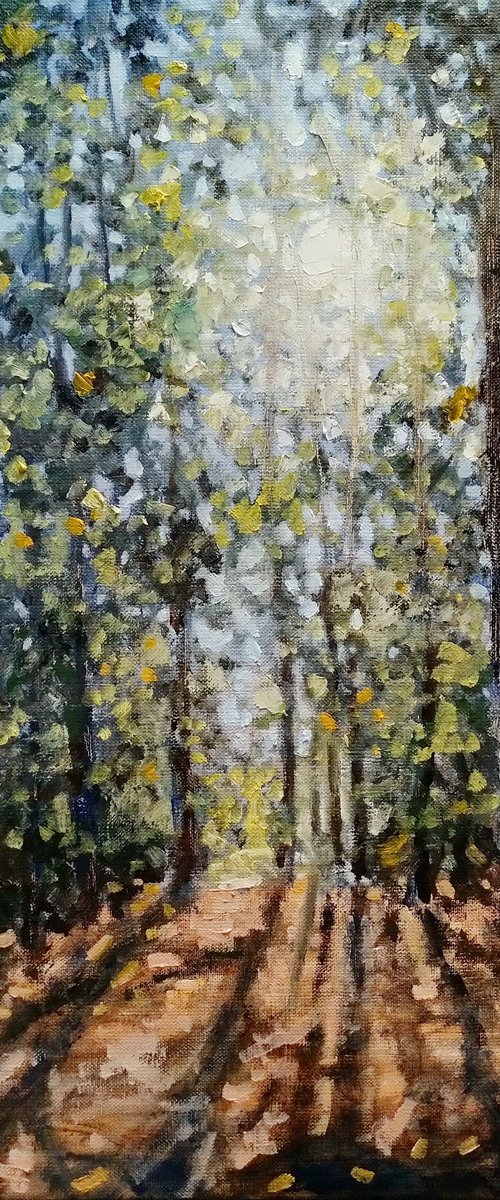 Morning in the forest by Oleh Rak