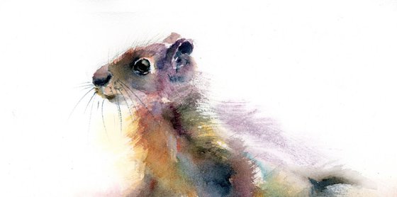 Squirrel