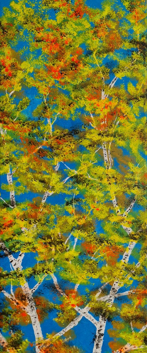 Birches by Daniel Urbaník