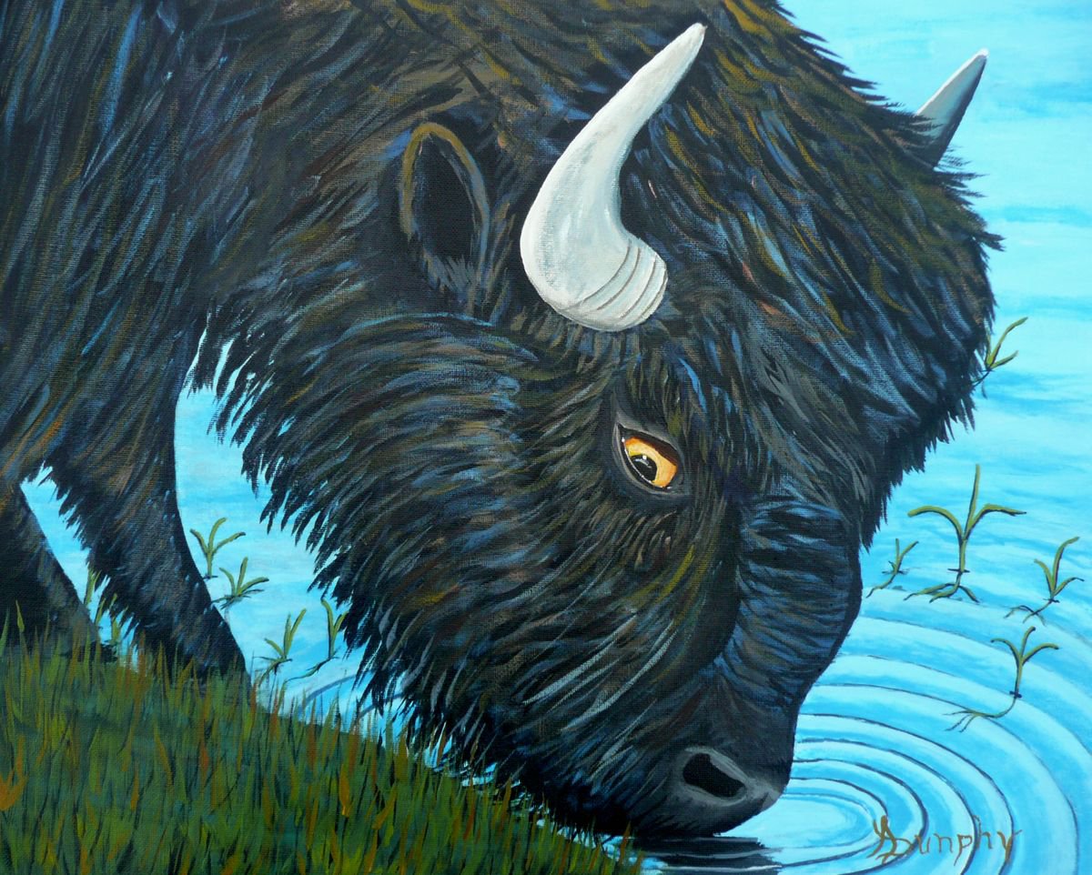 Shaggy Bison by Dunphy Fine Art