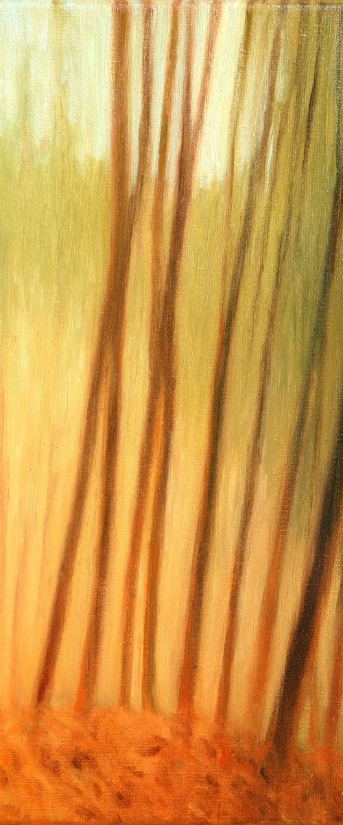 Forest in the evening by Richard Mierniczak