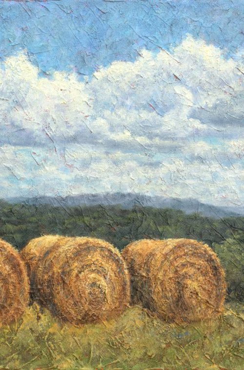 Four Hay Rolls by Barbara Hornstra