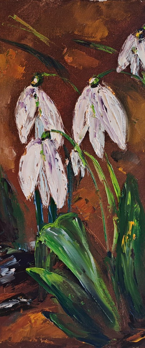 Snowdrops in the forest by Oksana Fedorova