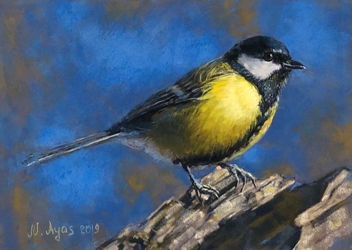 Titmouse by Natalie Ayas