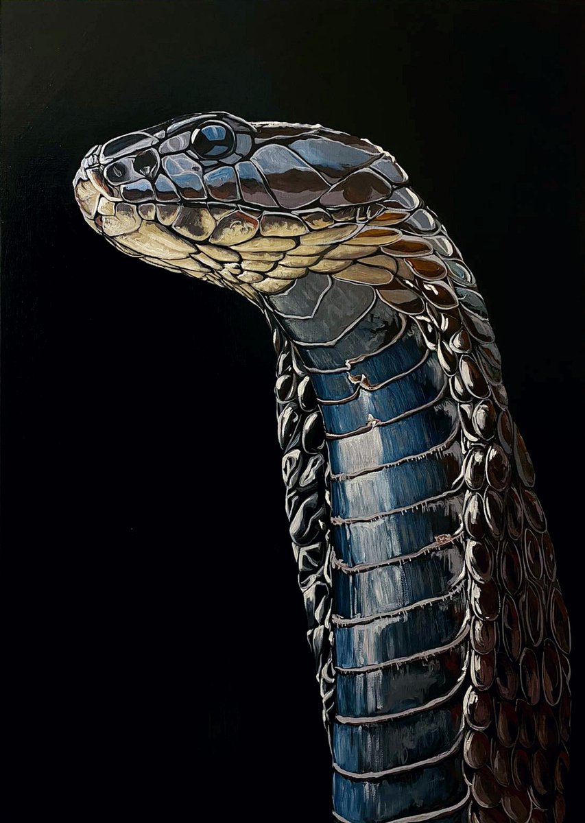 King Cobra Portrait by Elena Adele Dmitrenko