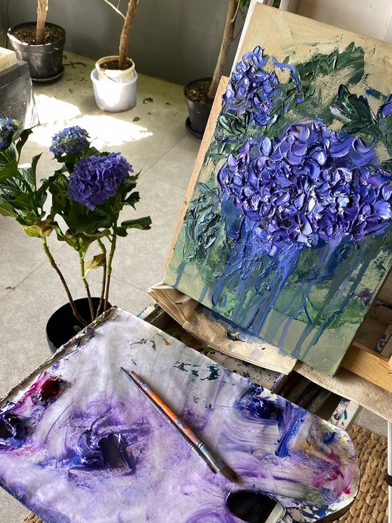 Hydrangea Study II