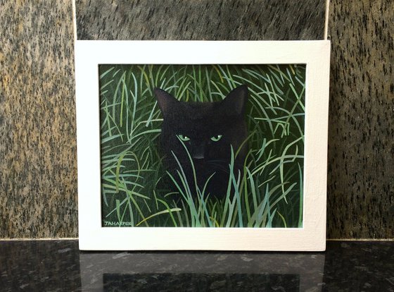 Cat In The Grass