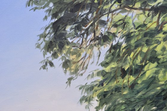 After the Harvest, Morning Light