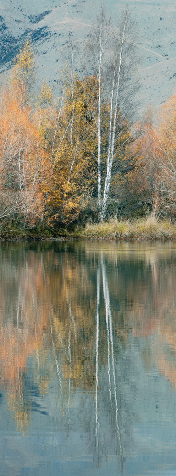 Tranquil Reflections