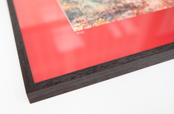 Wall of Nature LXVII (Framed)