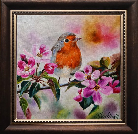 Robin Bird Painting