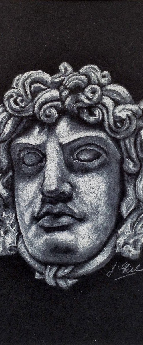 Head of Medusa by Lee Fidler