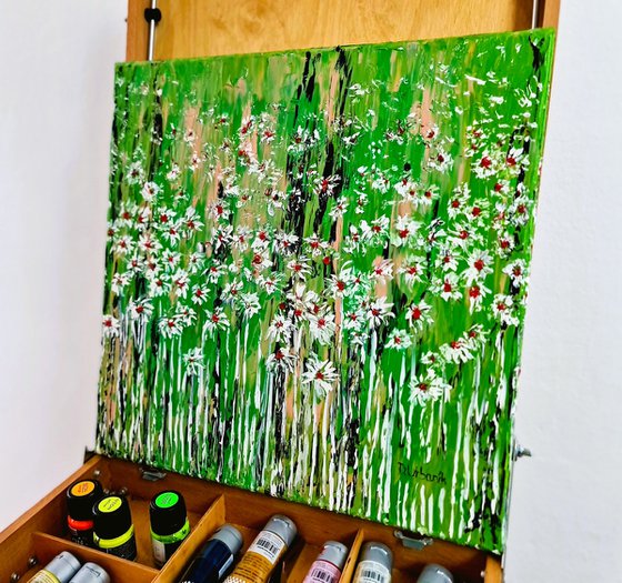 Daisies In The Grass 5