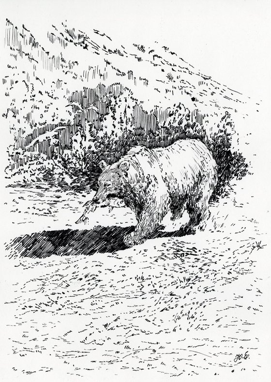 A Bear Fishing