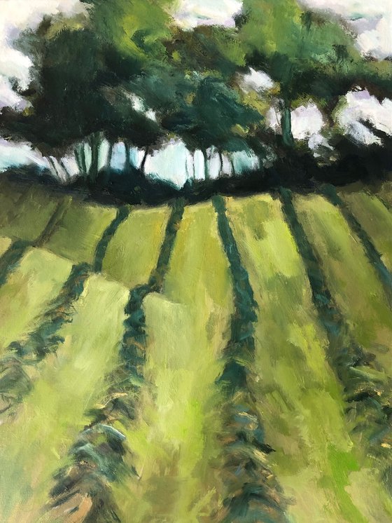 Harvest