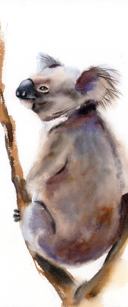 Gentle Koala by Olga Tchefranov watercolor