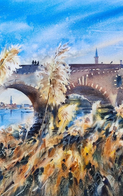 Sunlight under the bridge. Ponte Pietra by Olga Drozdova