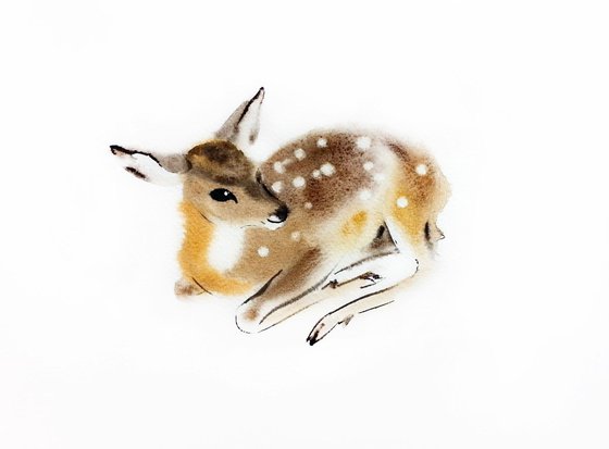 Fawn Lying Down - Baby Deer