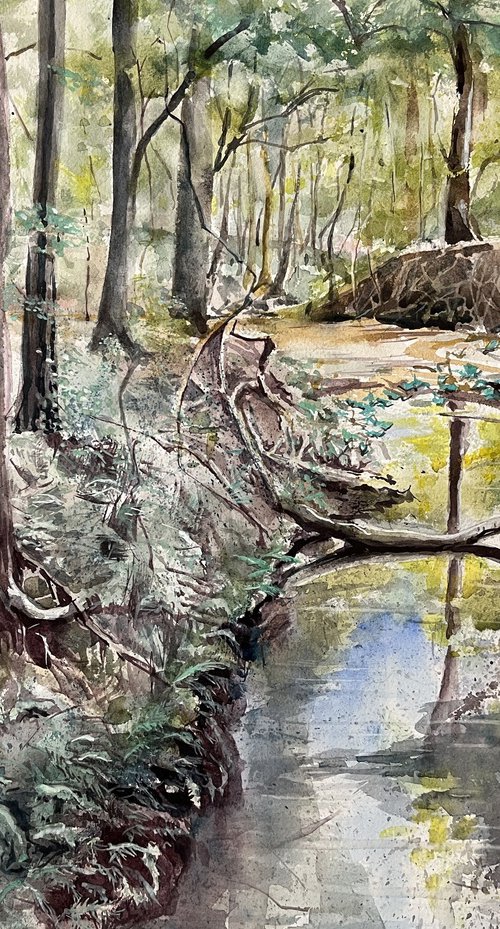 Florida Creek by Yoshiko Murdick