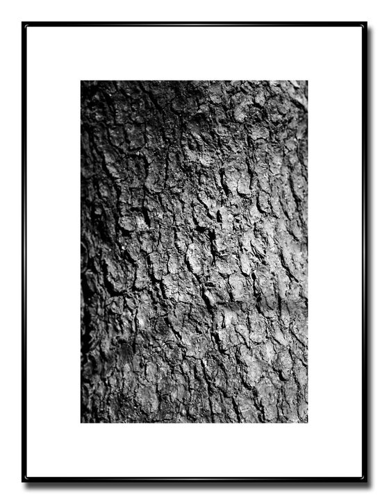 Trunk 2 - Unmounted (30x20in)