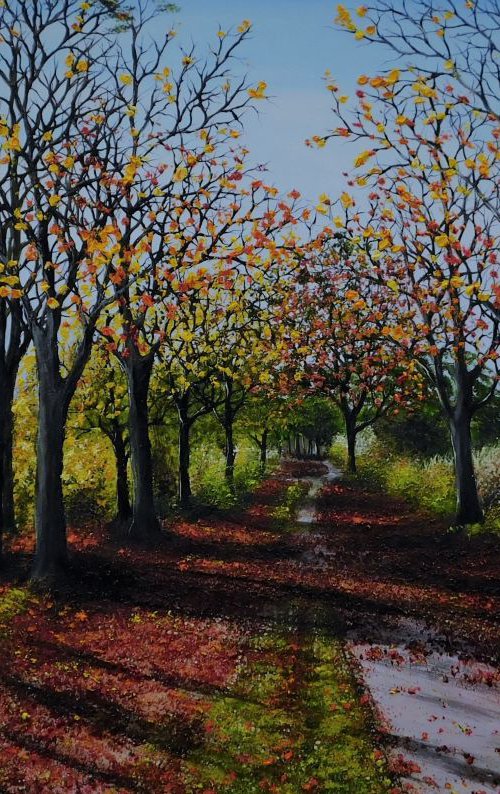 Walk into Autumn by Hazel Thomson