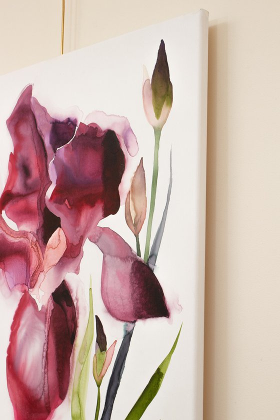 Iris No. 208
