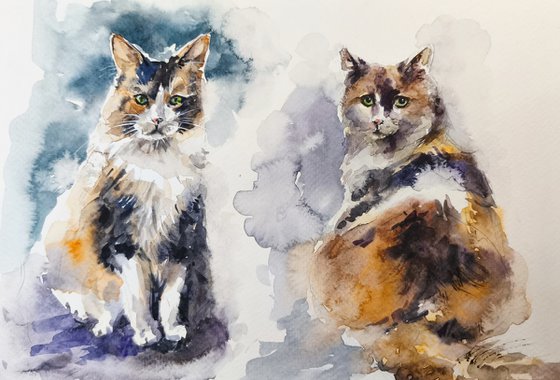 Three colours cat