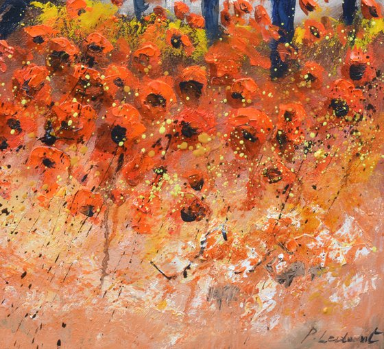 Red poppies  in Provence   6624